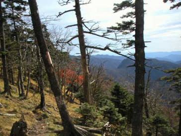 �������x������